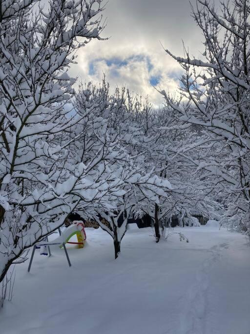 Utulna Chaloupka Na Valassku Valasska Bystrice Exterior foto