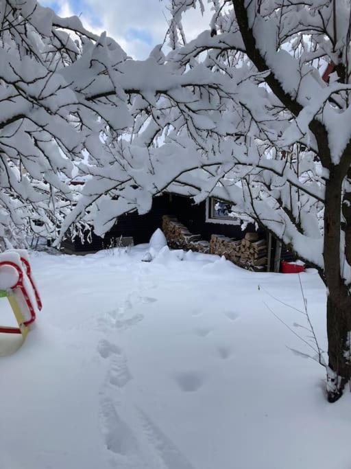 Utulna Chaloupka Na Valassku Valasska Bystrice Exterior foto